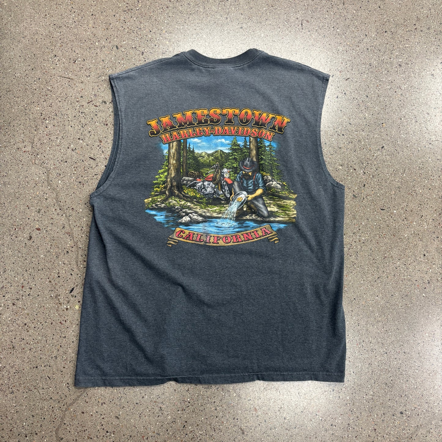 Vintage Harley Davidson Sleeveless Shirt (XL)