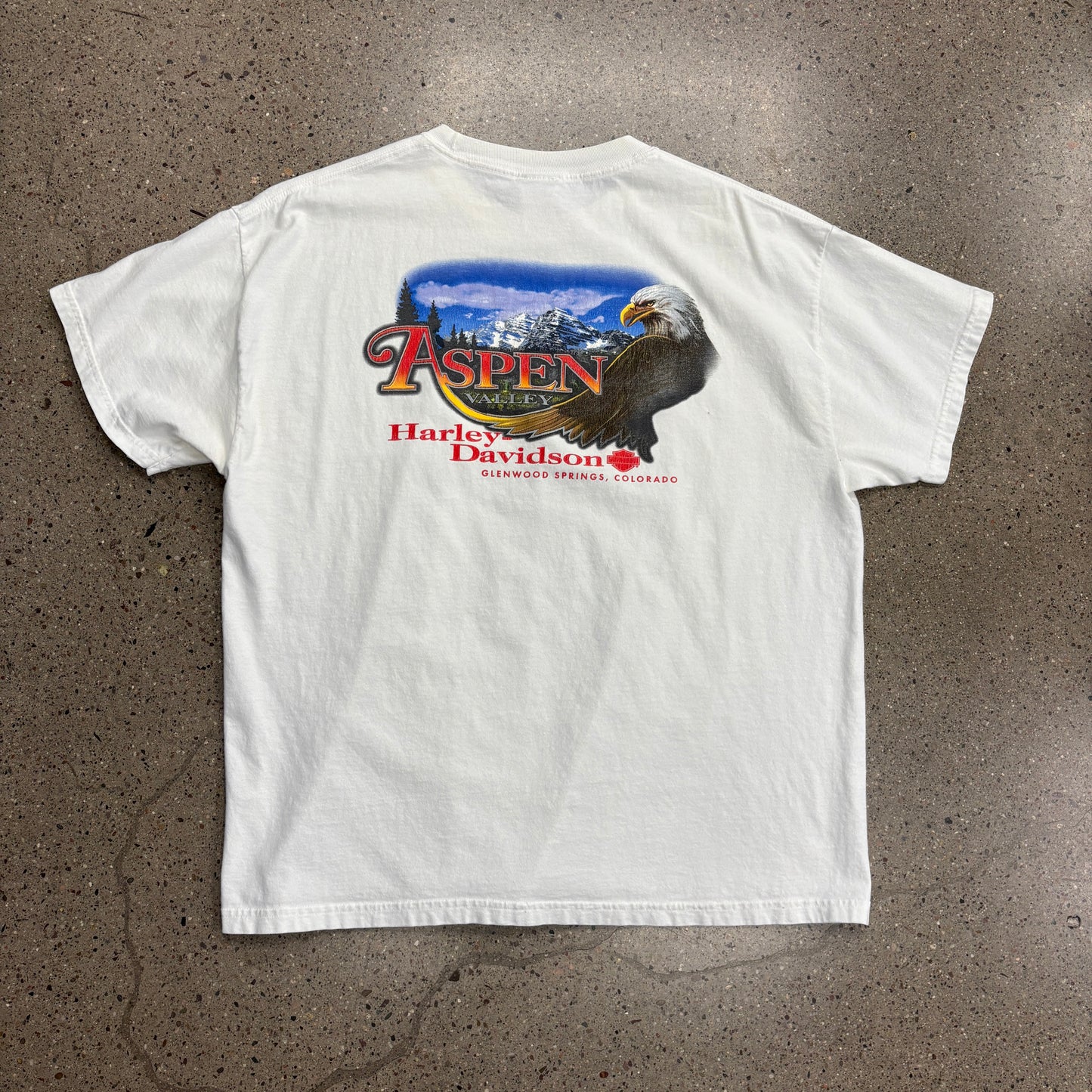 Vintage Harley Aspen Shirt